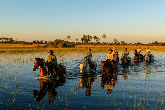 Best of Botswana - Safari combiné Tuli et Okavango