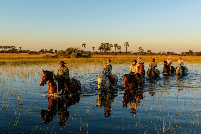 Safari à cheval dans le delta de l'Okavango, Botswana
