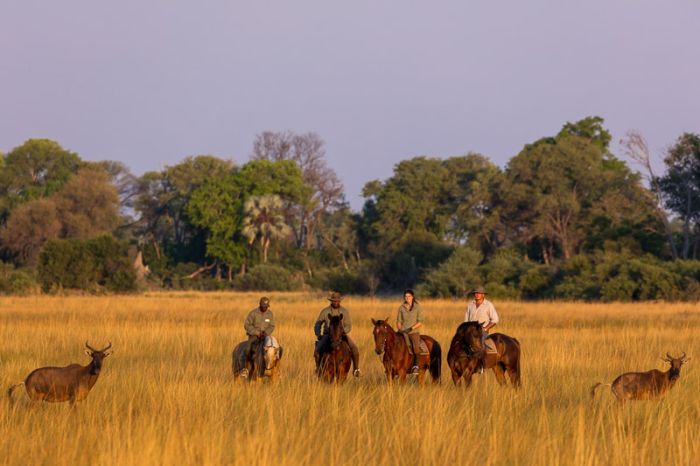 Safari à cheval dans le delta de l'Okavango, Botswana