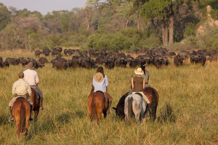 Safari à cheval dans le delta de l'Okavango, Botswana