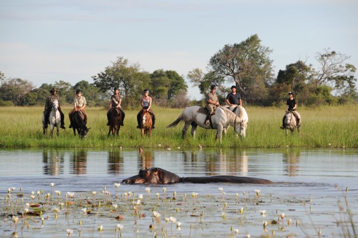 Safari à cheval dans le delta de l'Okavango, Botswana