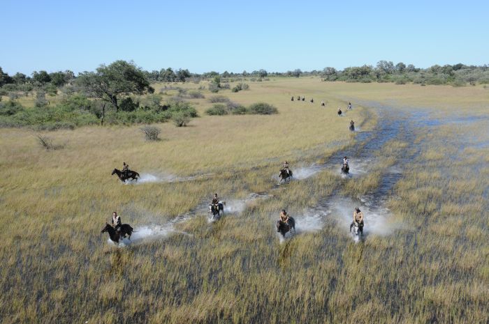 Safari à cheval dans le delta de l'Okavango, Botswana