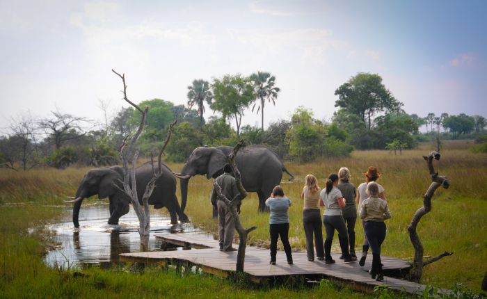 Safari à cheval dans le delta de l'Okavango, Botswana