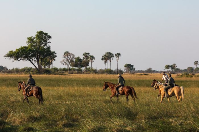 Safari à cheval dans le delta de l'Okavango, Botswana