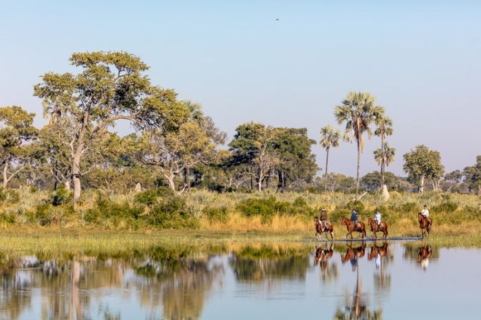 Safari à cheval dans le delta de l'Okavango, Botswana