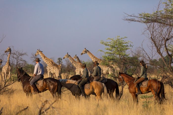 Safari à cheval dans le delta de l'Okavango, Botswana