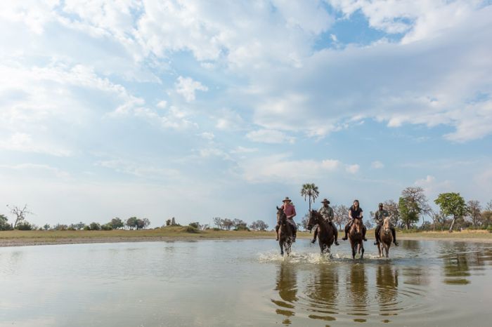 Safari à cheval dans le delta de l'Okavango, Botswana