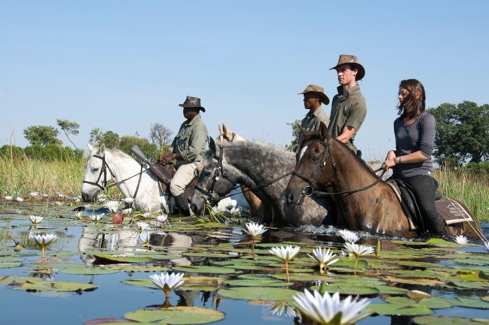 Safari à cheval dans le delta de l'Okavango, Botswana