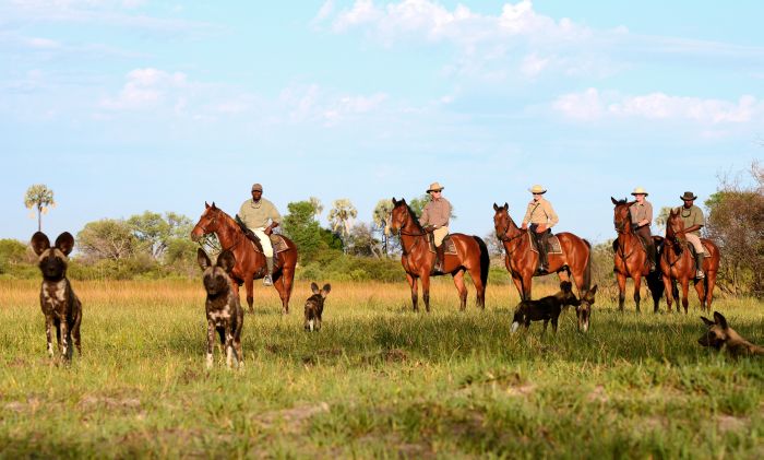 Safari à cheval dans le delta de l'Okavango, Botswana