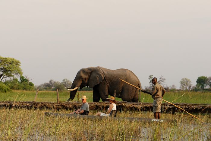 Safari à cheval dans le delta de l'Okavango, Botswana