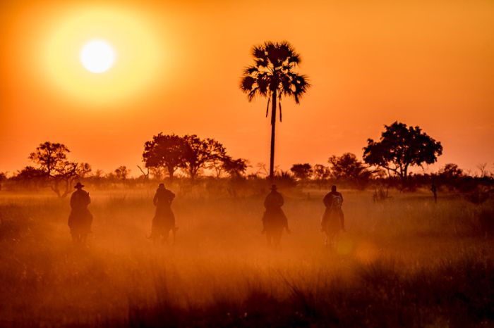 Safari à cheval dans le delta de l'Okavango, Botswana