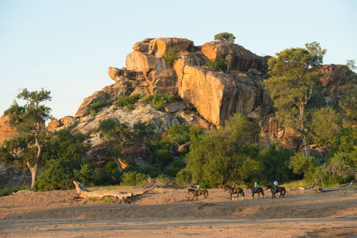 Le pays des géants - Tuli Riding Safari Botswana