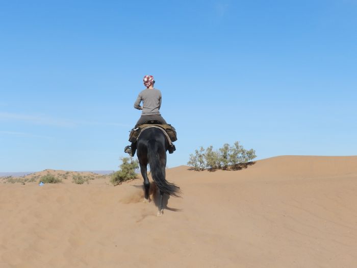 Randonnée dans les déserts du Sahara