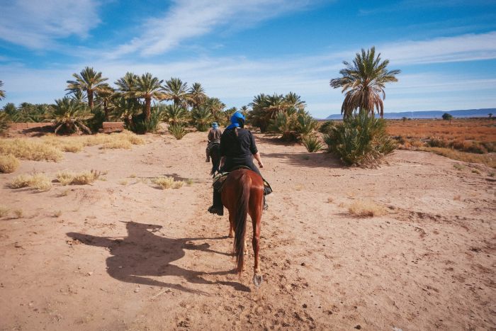 Randonnée dans les déserts du Sahara