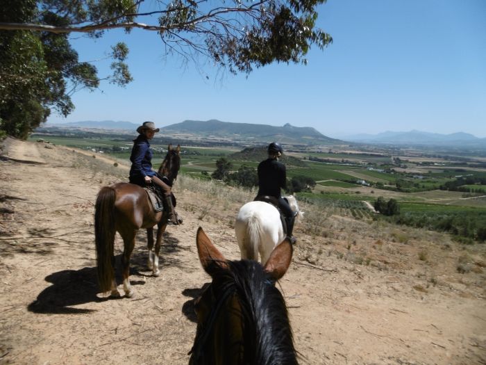 Séjour viticole pour les connaisseurs au Cap