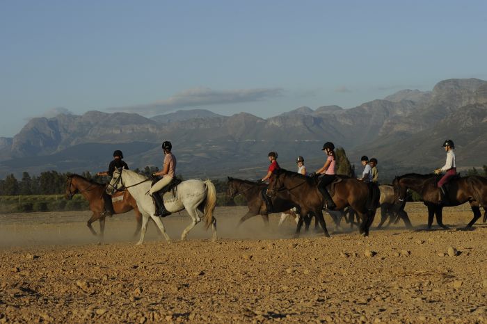 Séjour viticole pour les connaisseurs au Cap