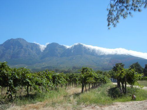 Balade gourmande et vinicole