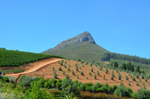 Balade gourmande et vinicole