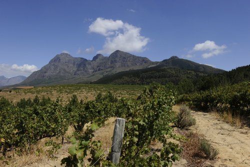 Balade gourmande et vinicole