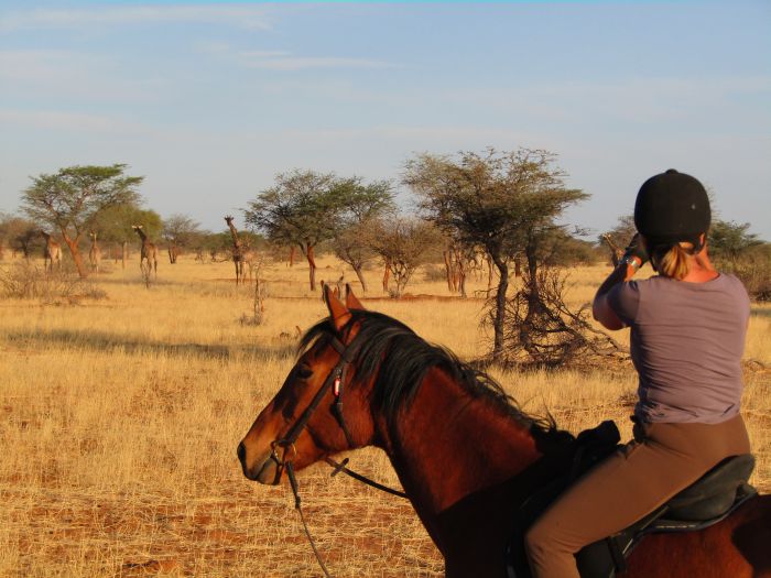 Safari à cheval dans la nature au bord du Kalahari