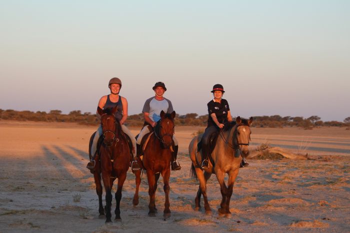 Safari à cheval dans la nature au bord du Kalahari