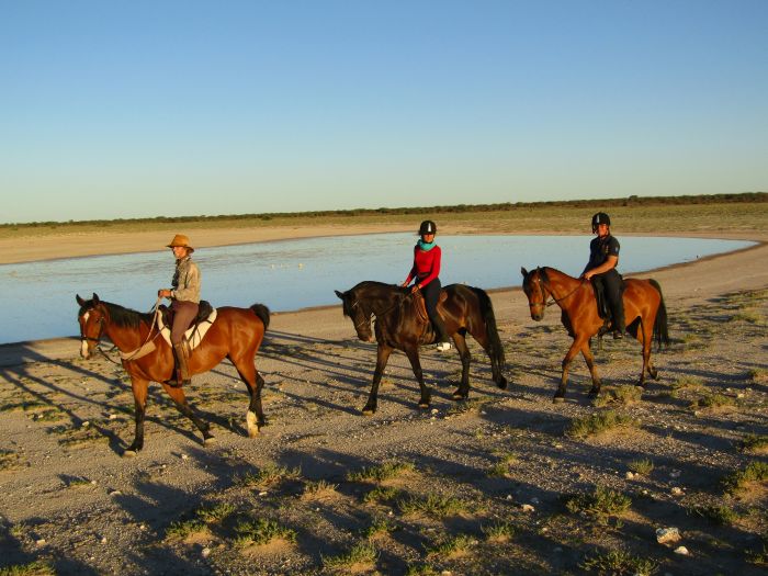 Safari à cheval dans la nature au bord du Kalahari