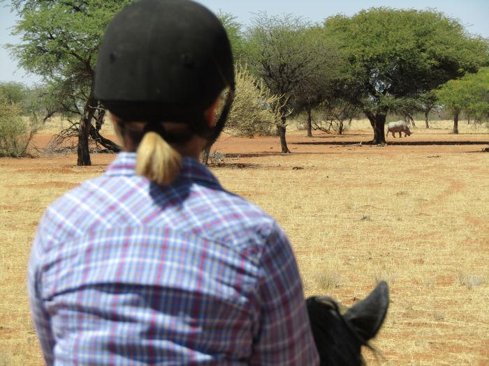 Safari à cheval dans la nature au bord du Kalahari