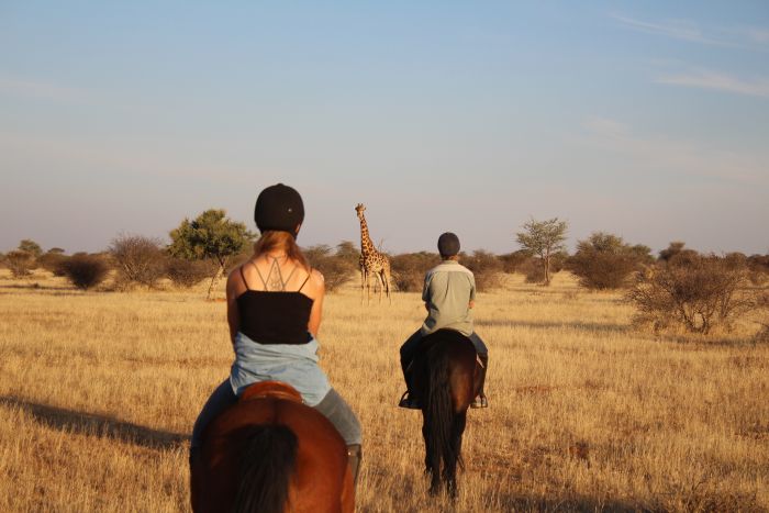 Safari à cheval dans la nature au bord du Kalahari