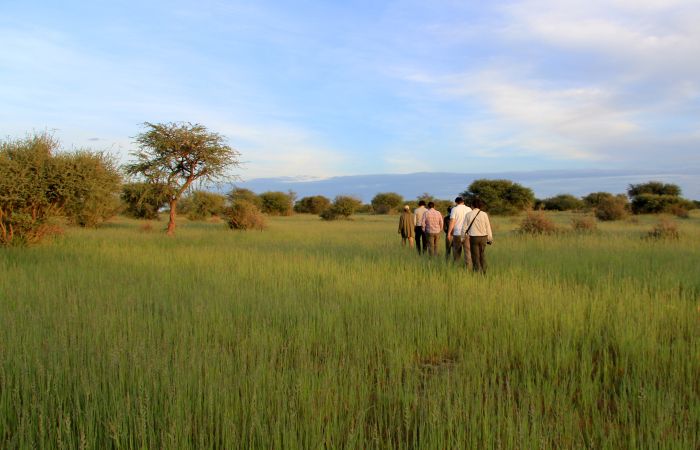 Safari à cheval dans la nature au bord du Kalahari