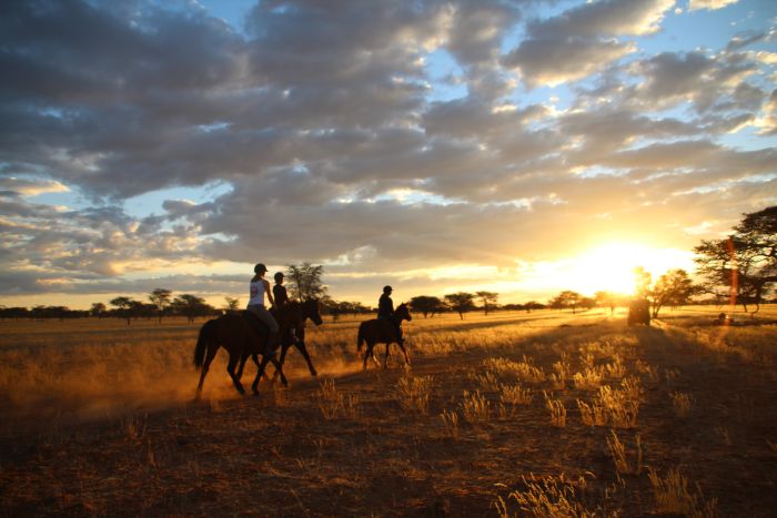 Safari à cheval dans la nature au bord du Kalahari