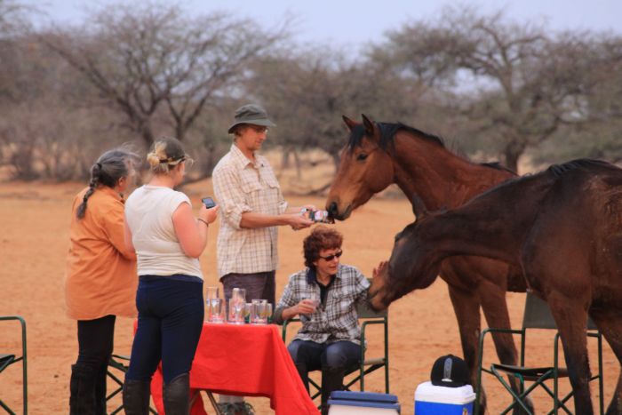 Safari à cheval dans la nature au bord du Kalahari