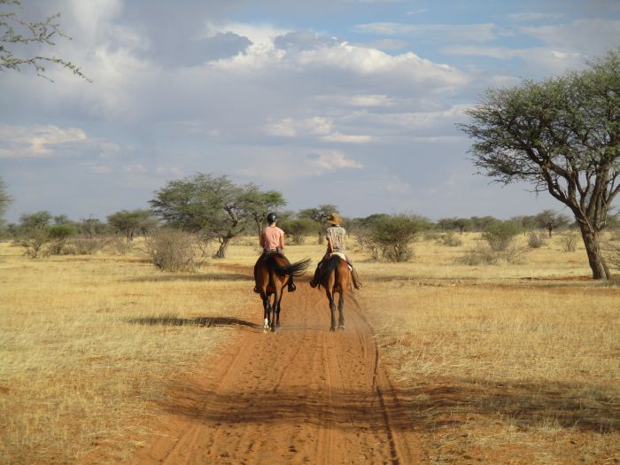 Safari à cheval dans la nature au bord du Kalahari