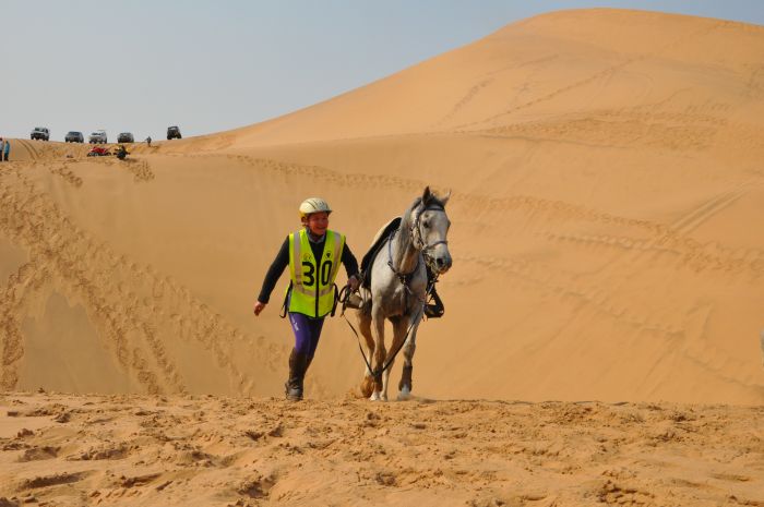 Safari arabe en Namibie