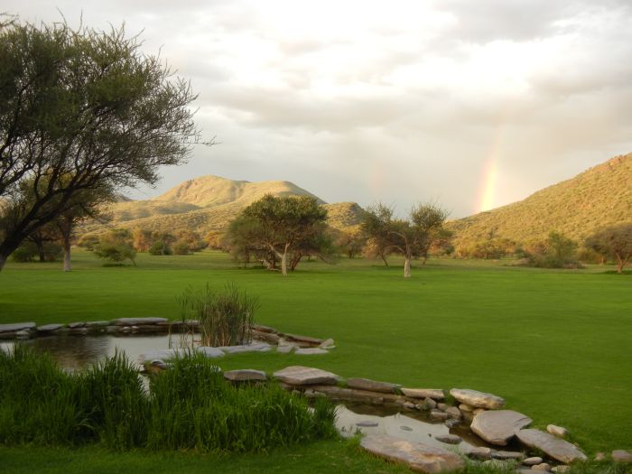 Safari arabe en Namibie