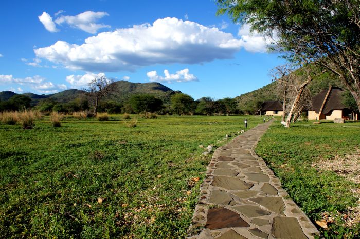 Safari arabe en Namibie