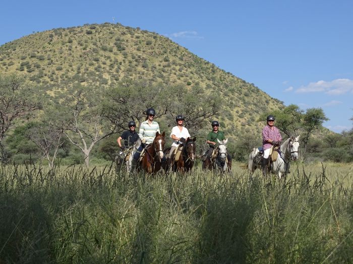 Safari arabe en Namibie