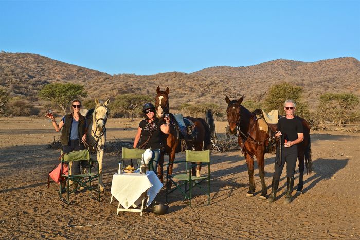 Safari arabe en Namibie