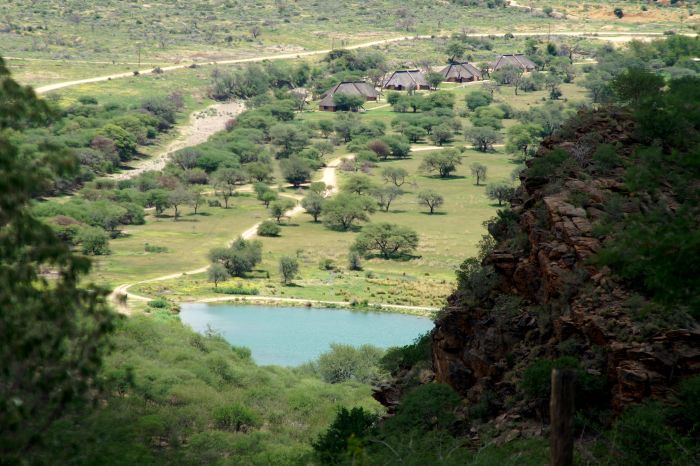 Safari arabe en Namibie