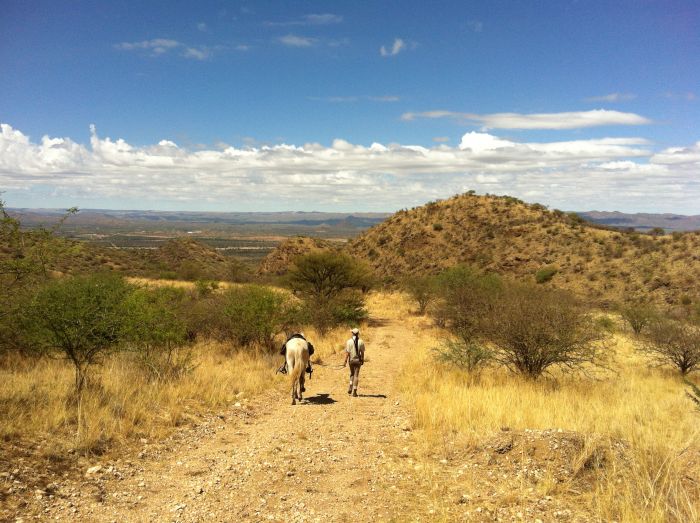 Safari arabe en Namibie