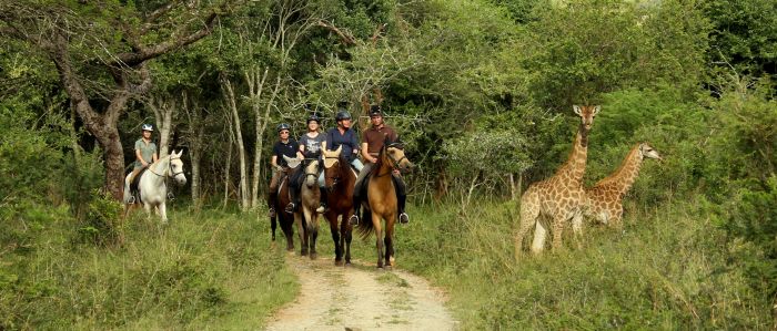 Big Five pour les connaisseurs