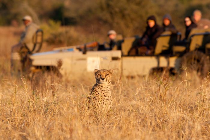 Big Five pour les connaisseurs