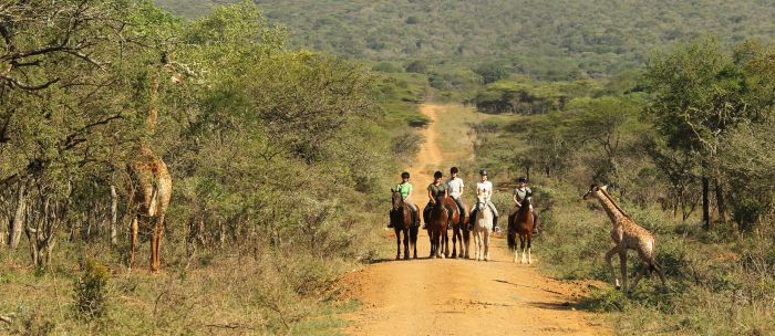 Big Five pour les connaisseurs