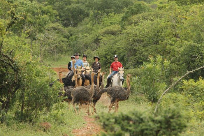 Big Five pour les connaisseurs