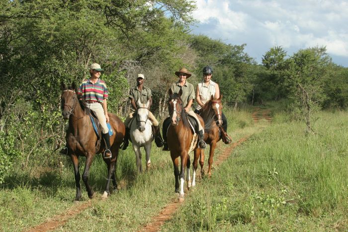 Big Five pour les connaisseurs