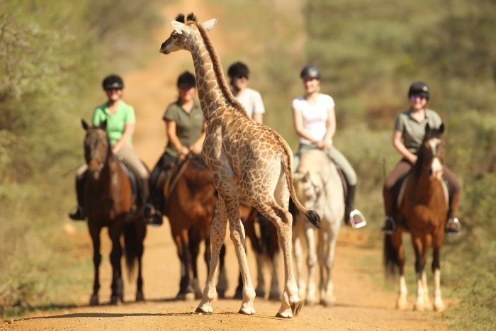 Big Five pour les connaisseurs