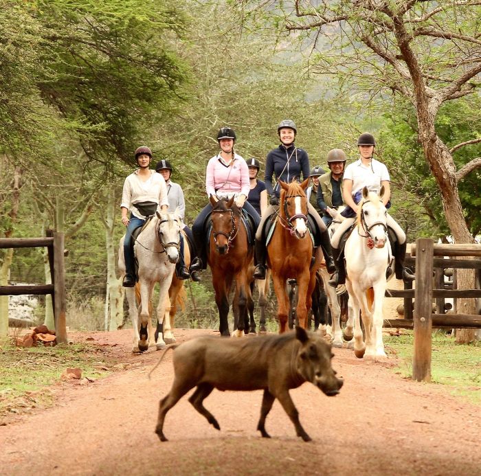 Big Five pour les connaisseurs