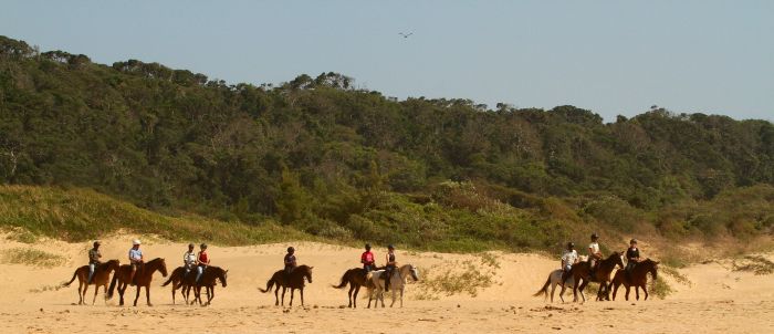 Safari à cheval, Big Five et plage