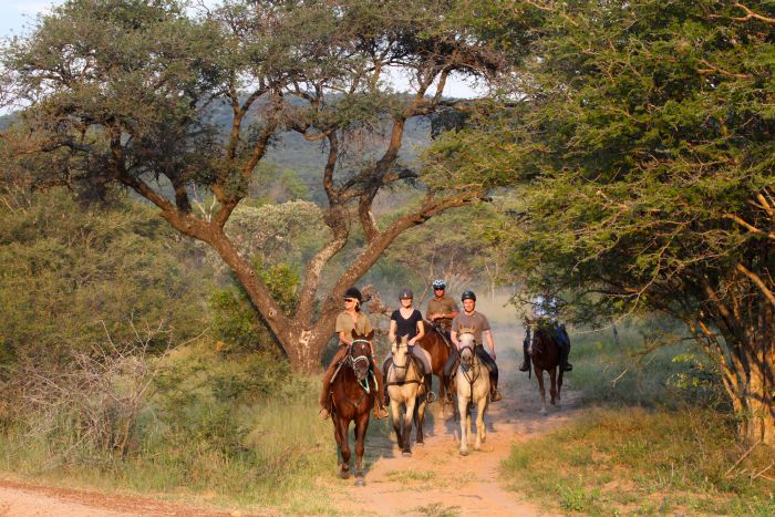 Waterberg Riding Safaris - Des vacances d'aventure !