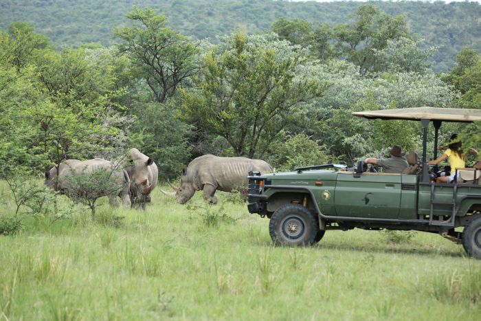Waterberg Riding Safaris - Des vacances d'aventure !