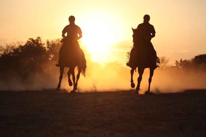 Waterberg Riding Safaris - Des vacances d'aventure !